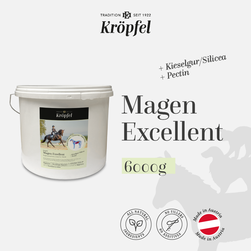 Magen Excellent