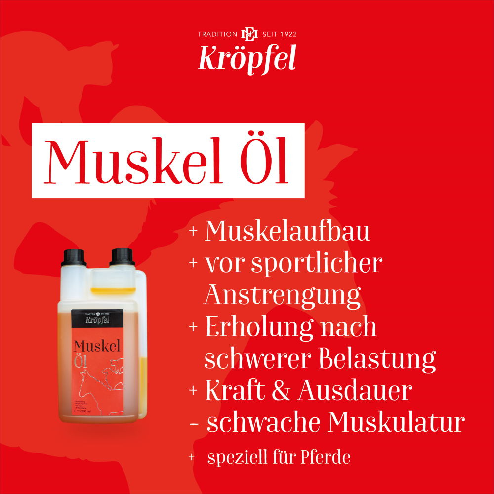 Aceite muscular