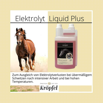 Electrolito Liquid plus