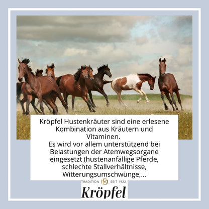 Hustenkräuter pur