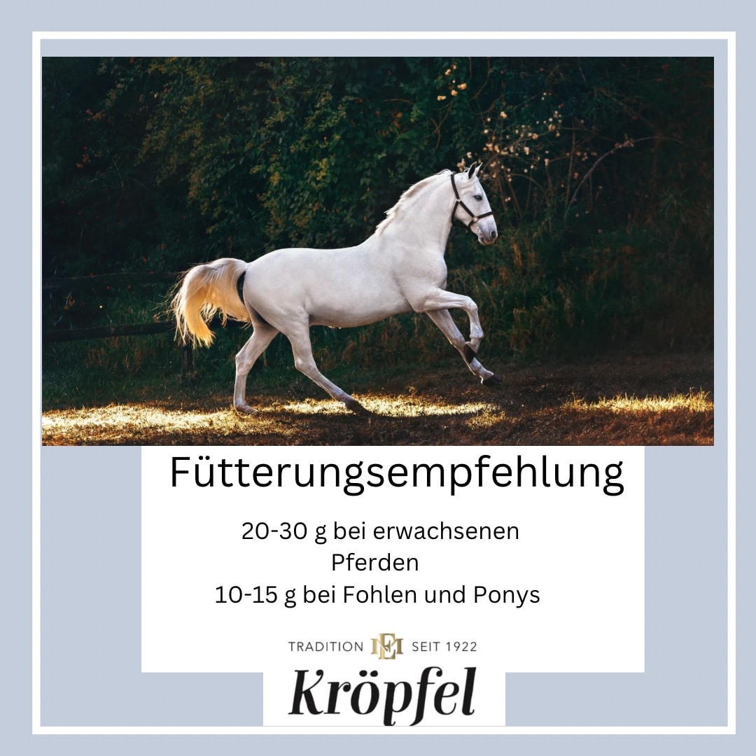 Hustenkräuter pur