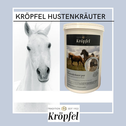 Hustenkräuter pur