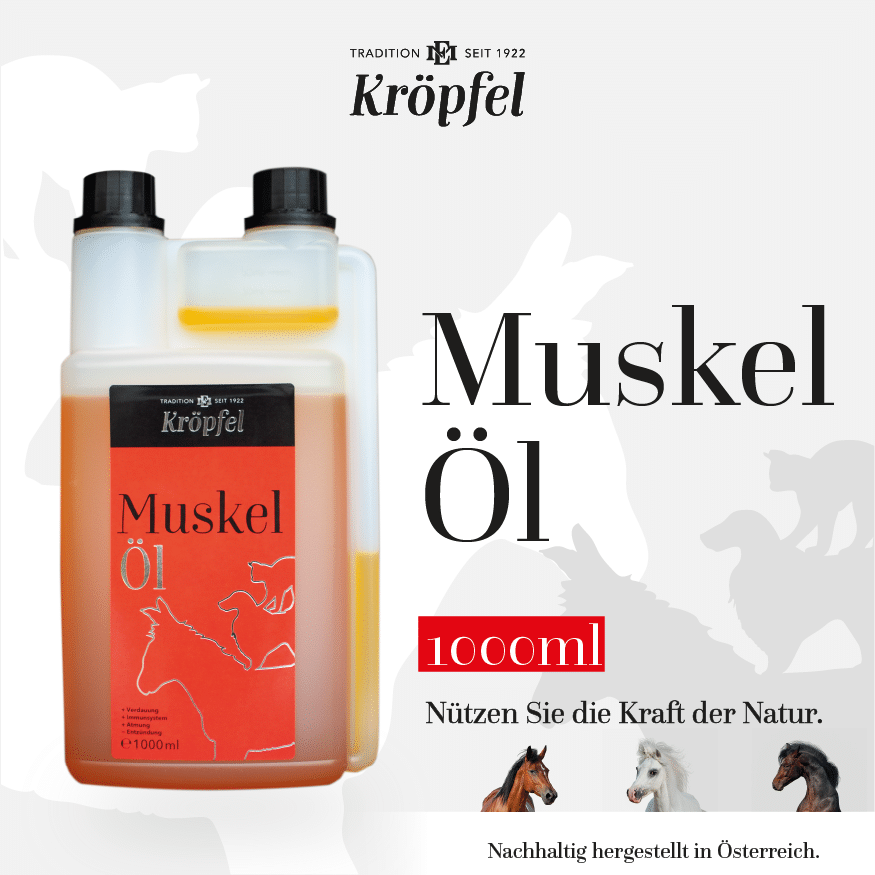 Aceite muscular